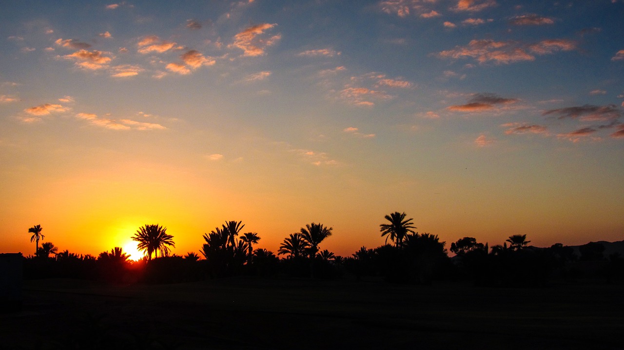 Cette image montre un coucher de soleil spectaculaire dans une oasis, où le ciel est teinté de nuances d'orange et de rose au Maroc. Les silhouettes des palmiers se détachent sur l'horizon, créant une atmosphère paisible et exotique.